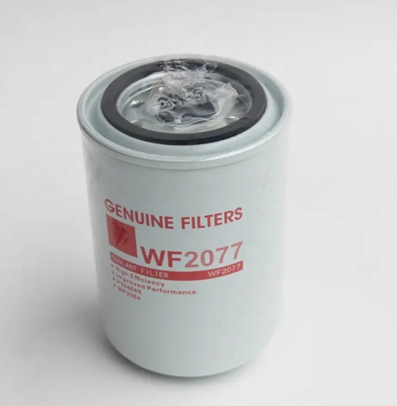 Parti del motore diesel per escavatore per camion pesanti3827423 - WF2077